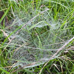 22-10-17 15-05-03 3133